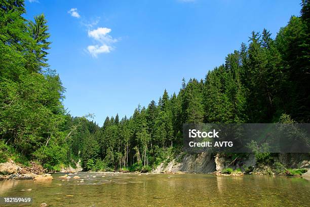 Foto de Rio De Montanha Selvagem e mais fotos de stock de Azul - Azul, Bosque - Floresta, Cascalho