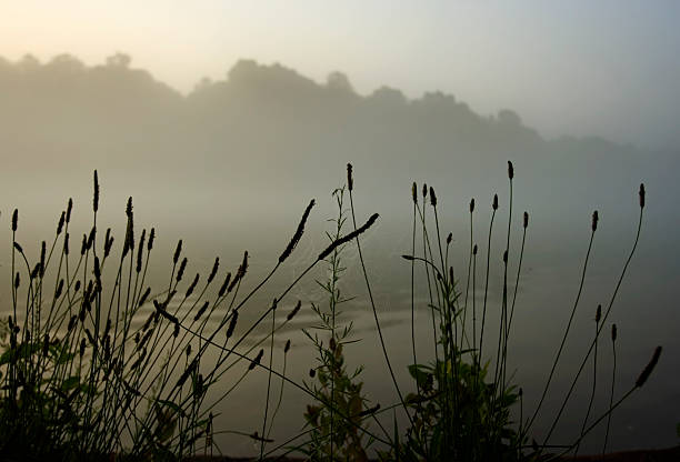 Temprano por la mañana río Chattahoochee - foto de stock