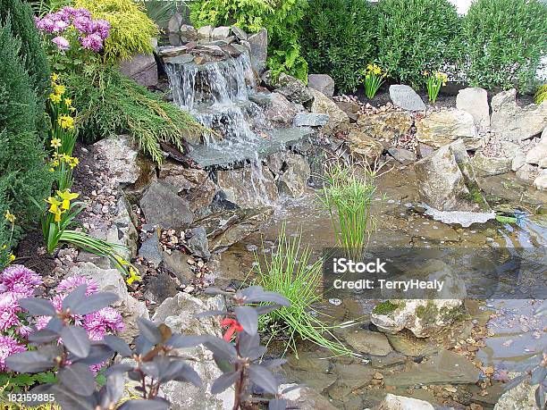 Dekorative Teich Stockfoto und mehr Bilder von Blume - Blume, Blumenbeet, Fotografie