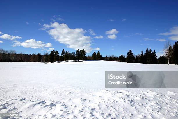 Zima 1 - zdjęcia stockowe i więcej obrazów Alberta - Alberta, Bez ludzi, Chmura