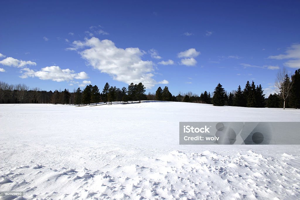 Inverno # 1 - Foto de stock de Alberta royalty-free