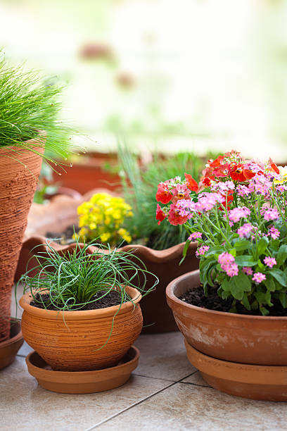 istock Floral decorated balcony 182159981