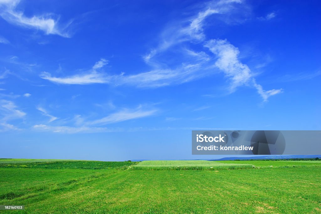 Зеленое поле пейзаж - Стоковые фото Абстрактный роялти-фри