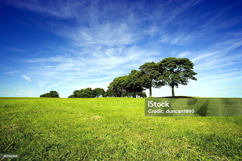 Summer Landscape "Trees on the horizon, on a bright summers day. Bradford, Yorkshire, England." Grass Stock Photo