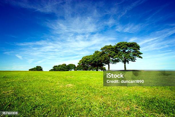 Summer Landscape Stock Photo - Download Image Now - Grass, Sky, Landscape - Scenery