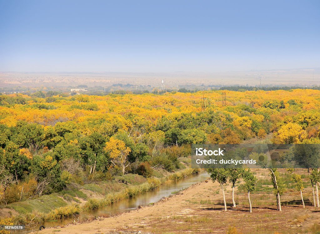 Du Rio Grande Valley, l'automne - Photo de Fleuve Rio Grande libre de droits