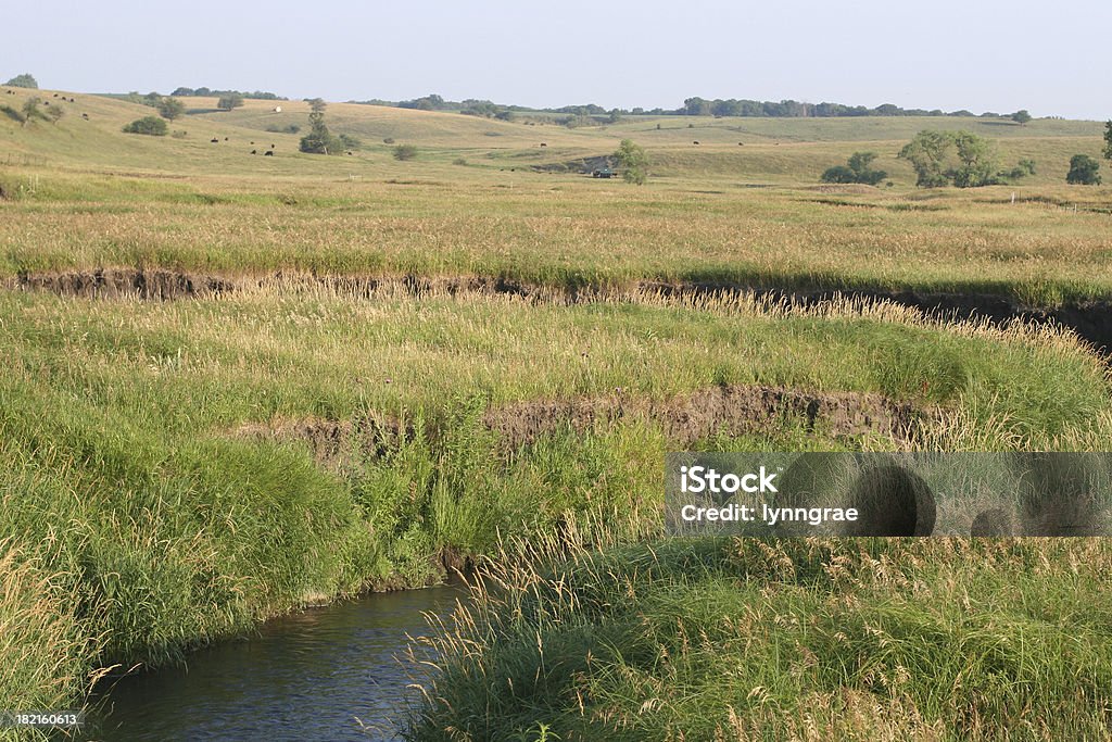 Midwest поле и stream - Стоковые фото Без людей роялти-фри