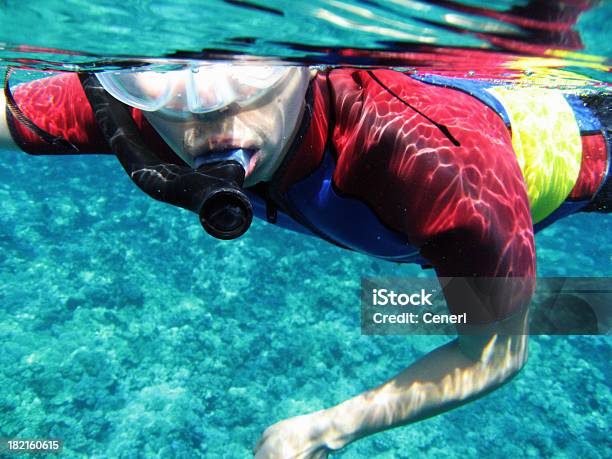 남자 스노클링 잠수복 바닷속이 마우이 하와이 몰로키니에 대한 스톡 사진 및 기타 이미지 - 몰로키니, 스노클, 스노클링