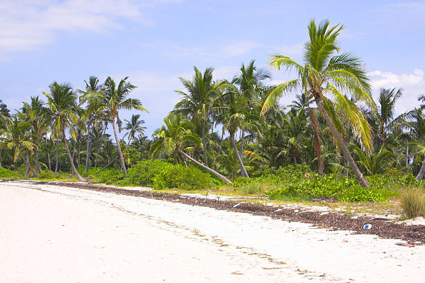 Plage des Caraïbes - Photo