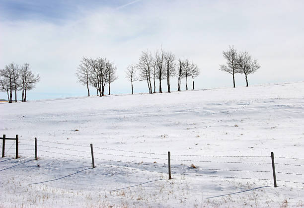 istock Crisp Winter Afternoon Landscape 182161052