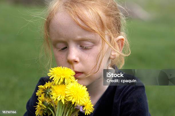 Foto de Primavera Dentes De Leão e mais fotos de stock de 6-7 Anos - 6-7 Anos, Amarelo, Arrancar Ervas Daninhas