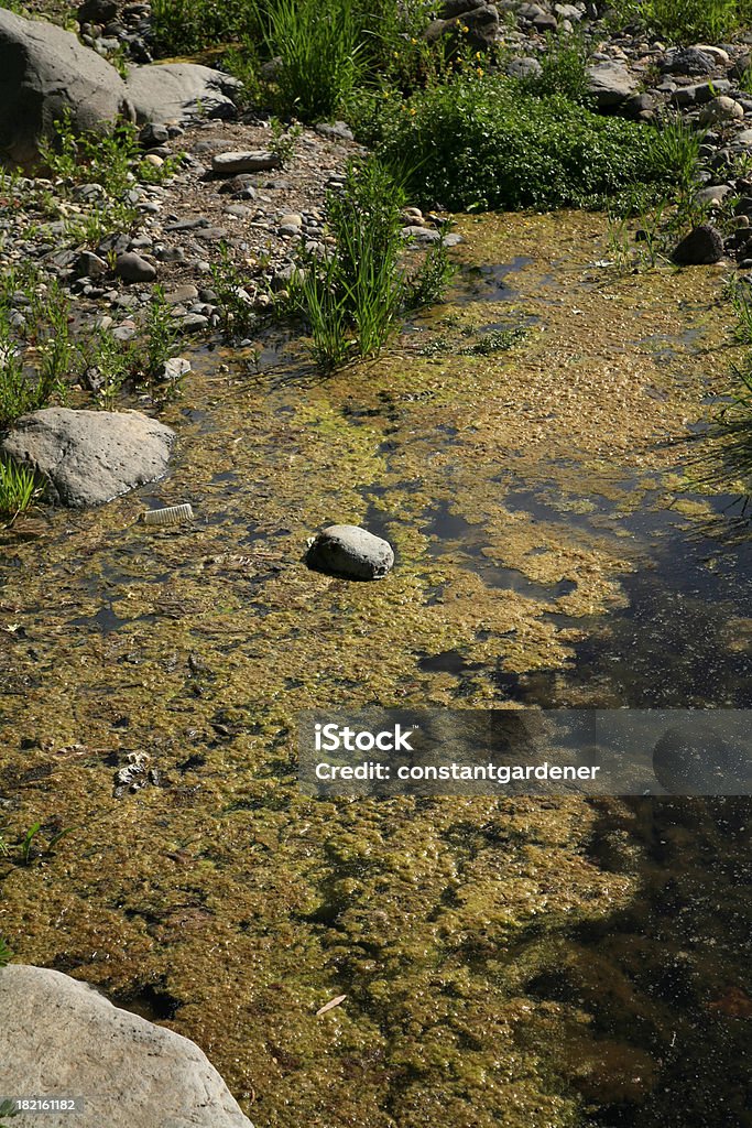 inquinamento - Foto stock royalty-free di Acqua