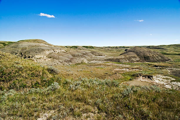 istock Wide angle view of Grassland park 182161454