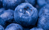 Wet Blueberry Closeup