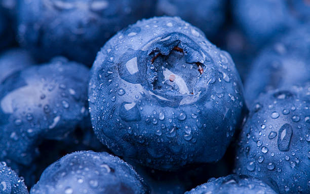 Wet Blueberry Closeup Closeup shot of Blueberries. Macro photo. blueberry stock pictures, royalty-free photos & images