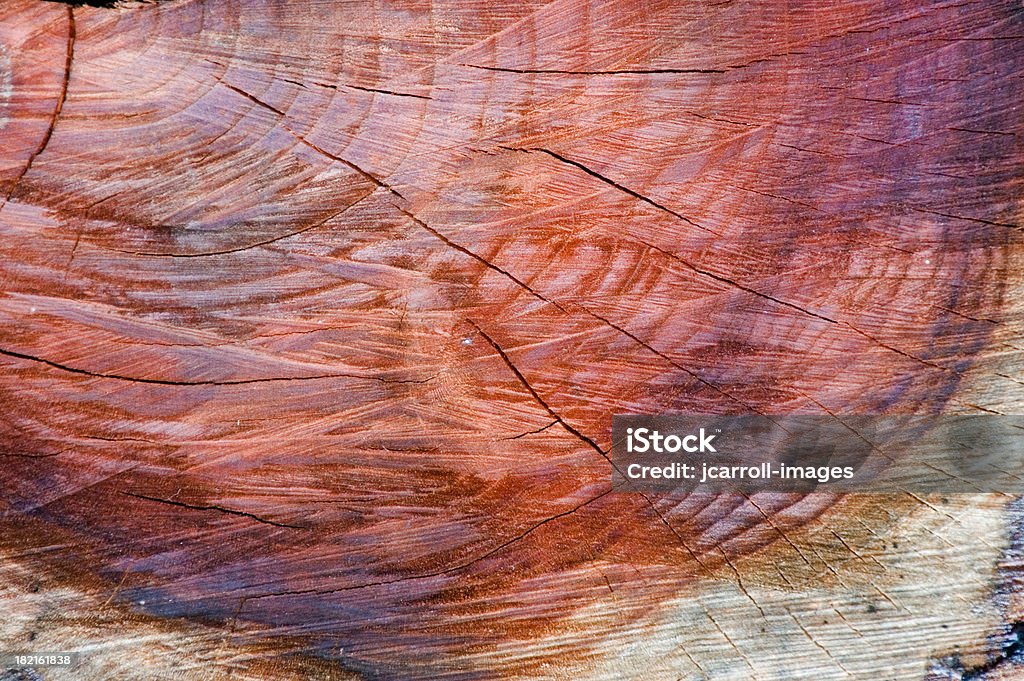 Red and purple colors in a tree stump. Rings of color glow in a tree stump. Abstract Stock Photo