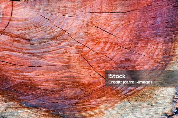 Red And Purple Colors In A Tree Stump Stock Photo - Download Image Now - Abstract, Aging Process, Axe