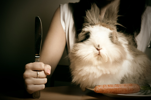 a young attractive woman getting ready to enjoy a cute fluffy bunny for dinner. yummy!