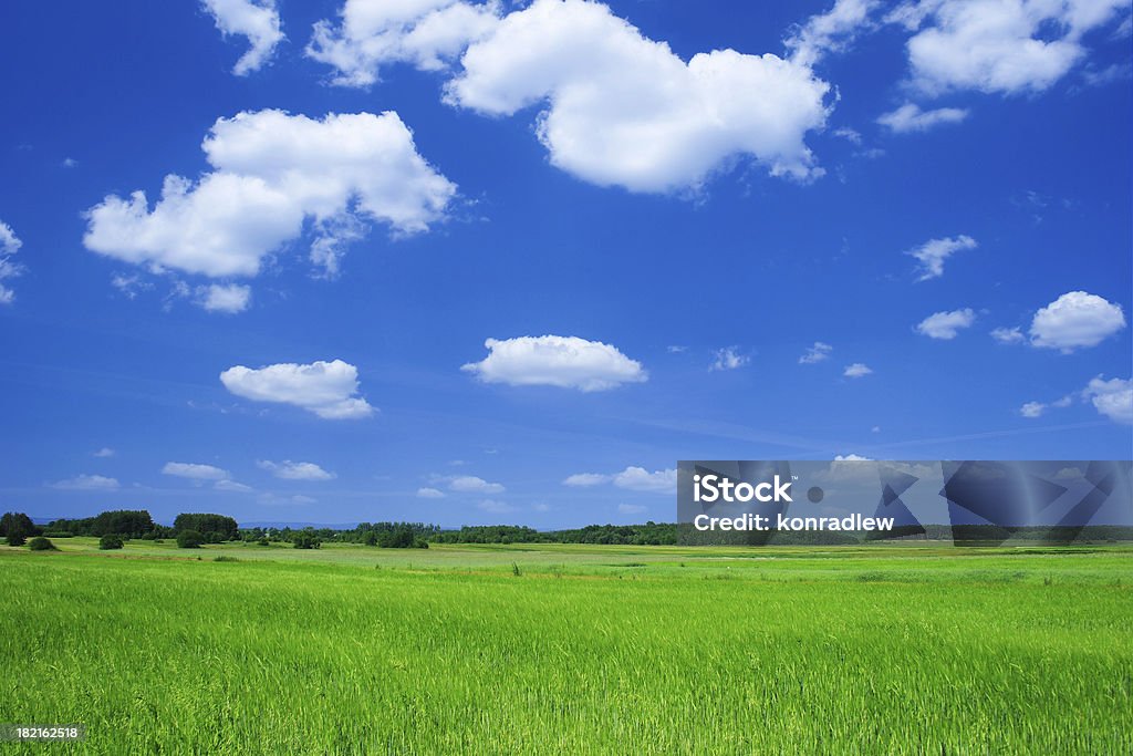 Green field - Landscape More of my XXXL landscape photos: Agricultural Field Stock Photo