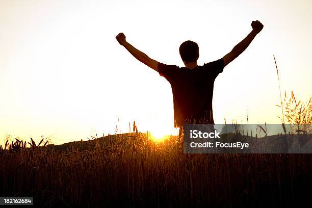 Yippppieeeeeee - Fotografie stock e altre immagini di Sagoma - Controluce - Sagoma - Controluce, Uomini, Pugno