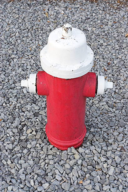 Vermelho Boca de Incêndio - fotografia de stock