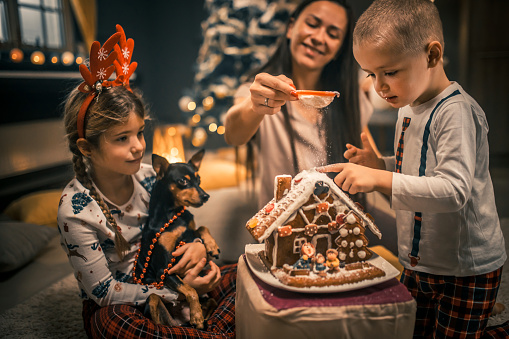 a happy family spends Christmas days at home