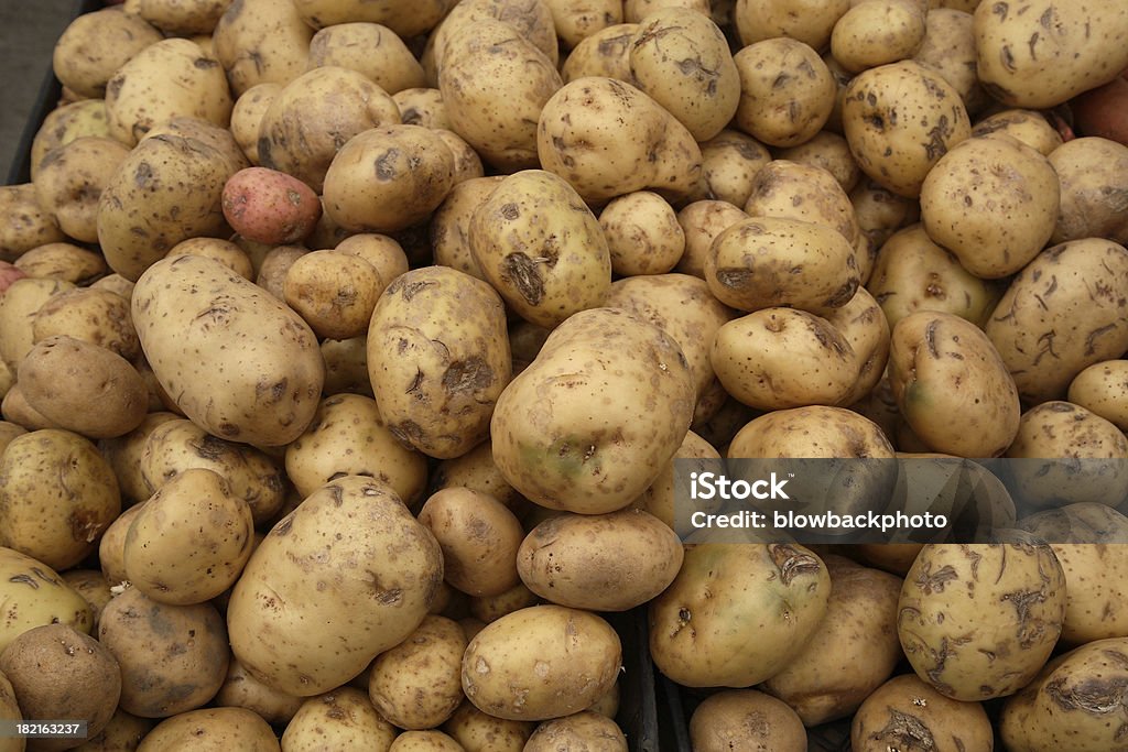 Marché de producteurs : Pomme de terre Yukon - Photo de Affaires libre de droits