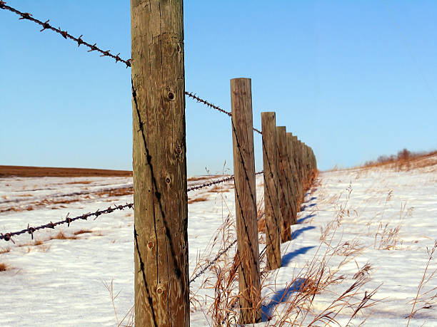冬のフェンス - prairie farm winter snow ストックフォトと画像
