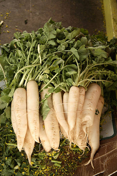 mercado de agricultores: daikon rábanos - radish dikon radish vegetable exoticism fotografías e imágenes de stock