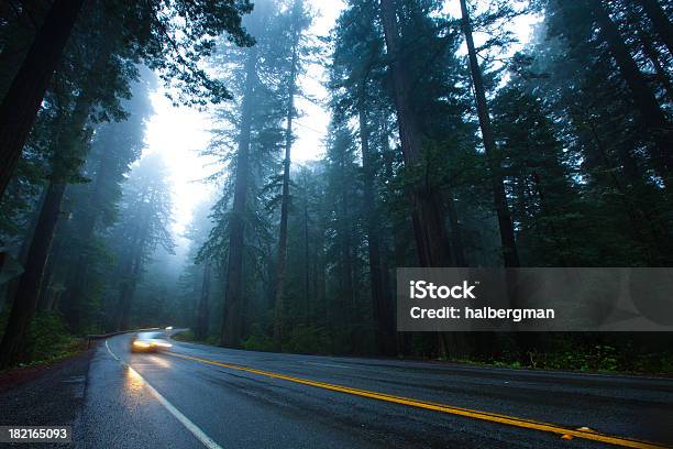Car On A Narrow Forest Highway In Inclement Weather Stock Photo - Download Image Now