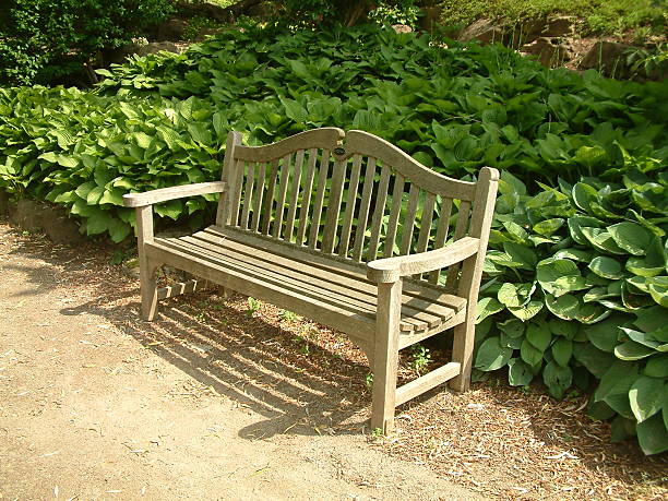 Bench stock photo