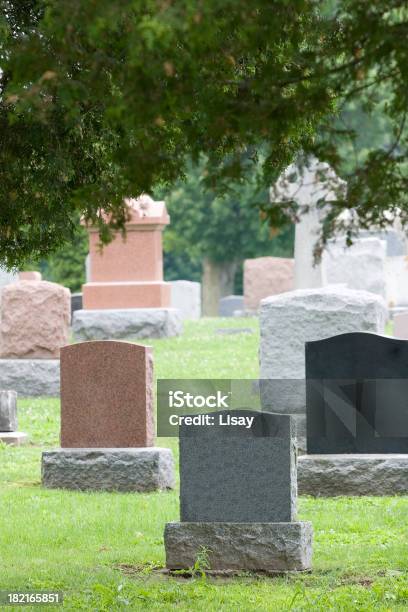 Graveyard Tombstones - Fotografias de stock e mais imagens de Cemitério - Cemitério, Espaço Vazio, Espaço para Texto