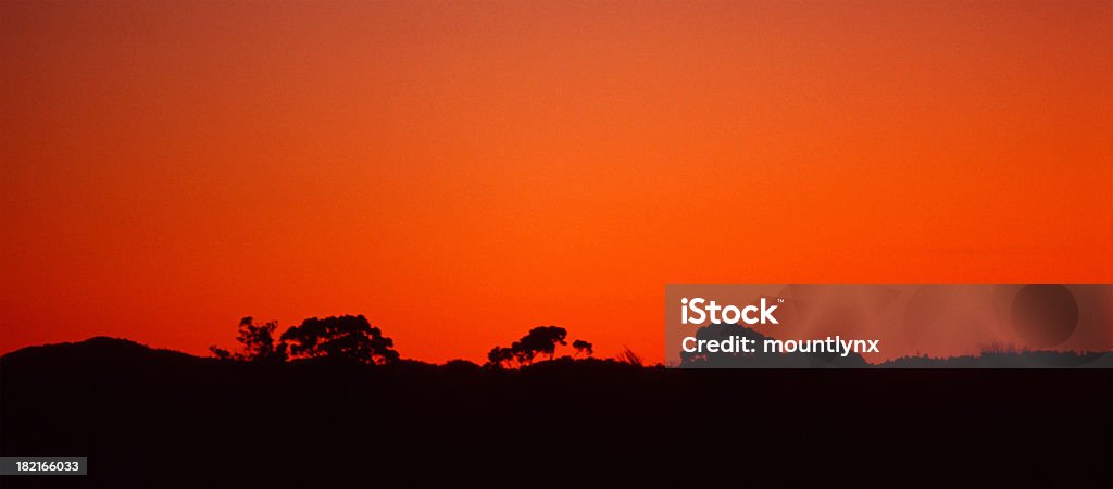 Tramonto in Nuova Zelanda - Foto stock royalty-free di Albero