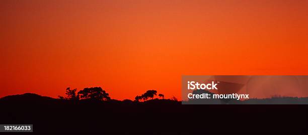 Tramonto In Nuova Zelanda - Fotografie stock e altre immagini di Albero - Albero, Ambientazione tranquilla, Arancione