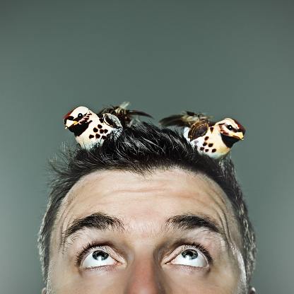 Portrait of a man with two birds staying in his hair. Member mbbirdy portrait.