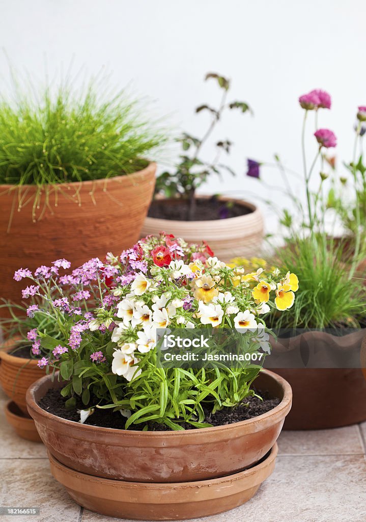 Balcón decorado con flores - Foto de stock de Aire libre libre de derechos