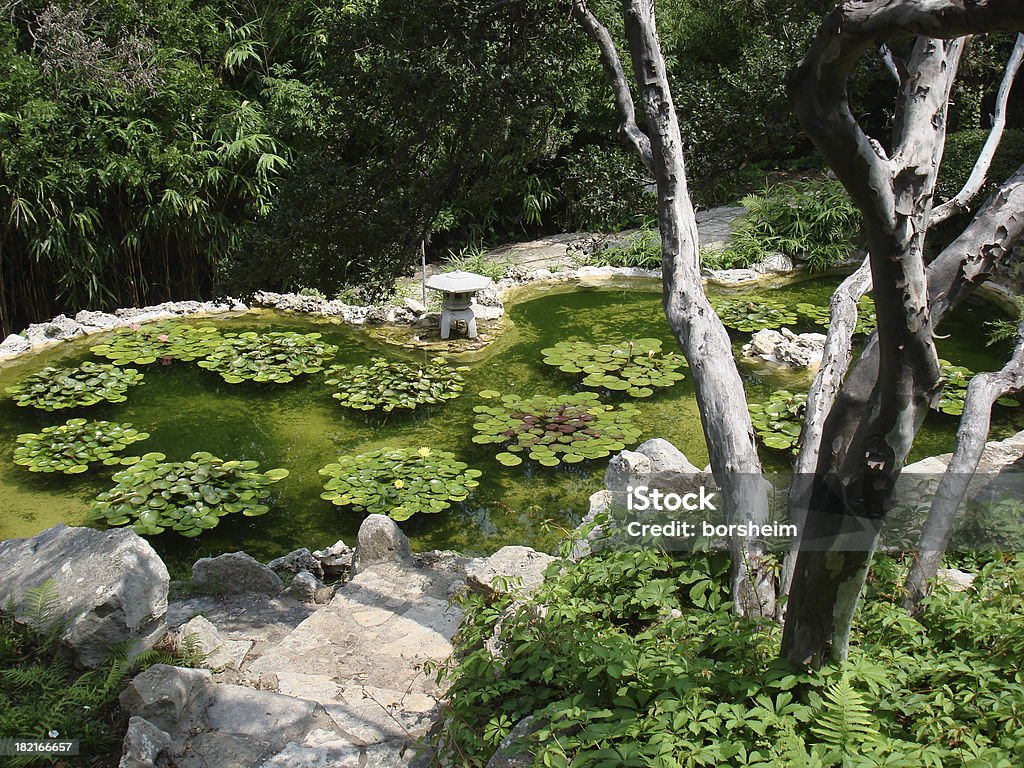 Zilker Botanischen Gärten II, Austin - Lizenzfrei Asiatische Kultur Stock-Foto