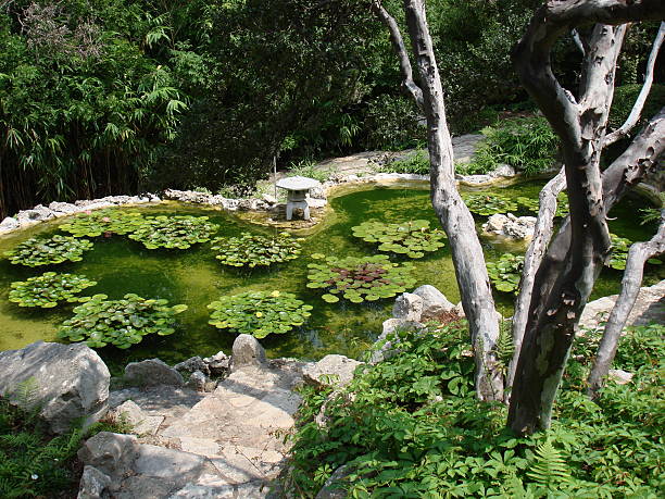 istock Zilker Botanical Gardens II, Austin 182166657