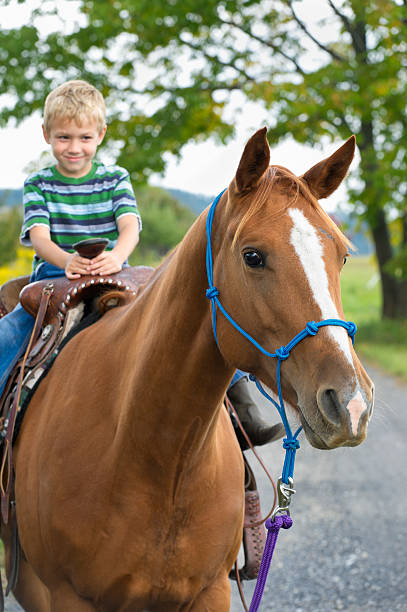 istock Young Boy Horseback Riding on Large Horse 182167142