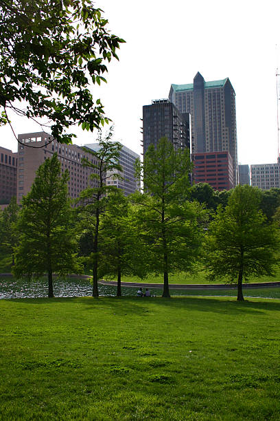 Picnic in the Park stock photo