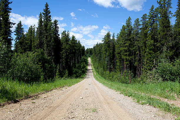 istock Empty forestry road in foothills of Alberta, Canada. 182167306