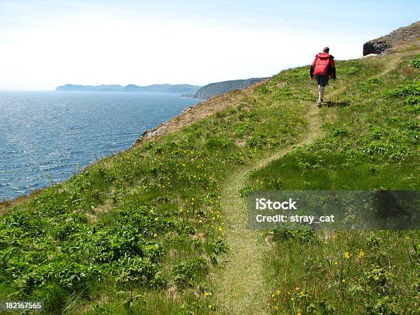 Il Skerwink Trail Hiking - Fotografie stock e altre immagini di Isola di Terranova - Isola di Terranova, Escursionismo, Sentiero