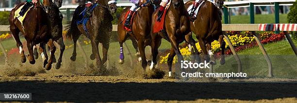 Horse Pferderennen Stockfoto und mehr Bilder von Pferderennen - Pferderennen, Rennpferd, Jockey