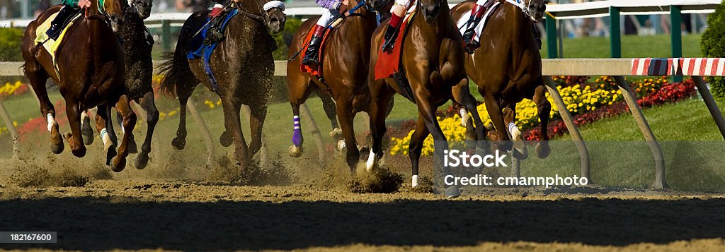 Wyścig konny - Zbiór zdjęć royalty-free (Wyścig konny)