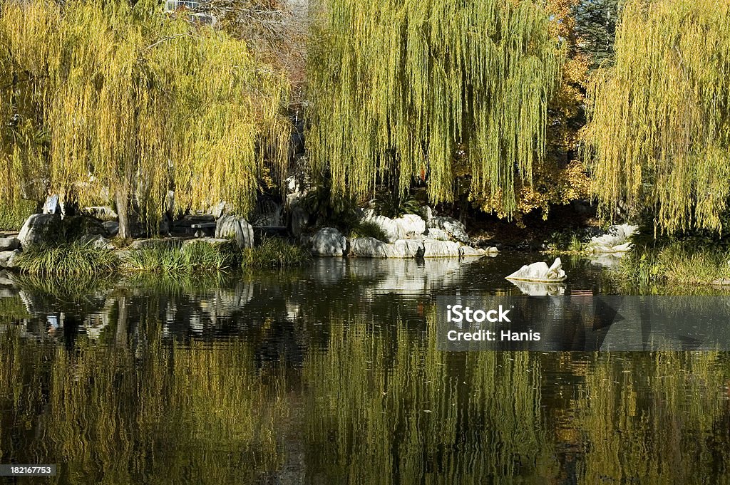 Espejo al jardín - Foto de stock de Agua libre de derechos