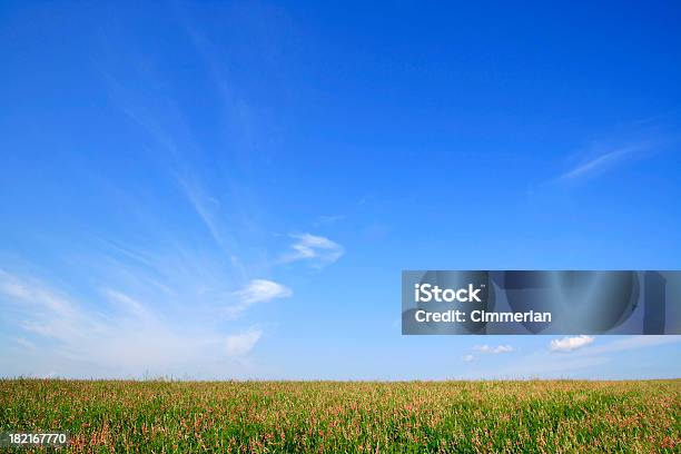 Campo De Verano Foto de stock y más banco de imágenes de Agricultura - Agricultura, Aire libre, Amarillo - Color