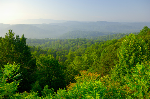 A view SouthEast over the Great Smoky Mountains National Park at 9 a.m. from the Foothills Parkway West in Tennessee USA. Look at the beautiful Smokies stretching into the distance.
