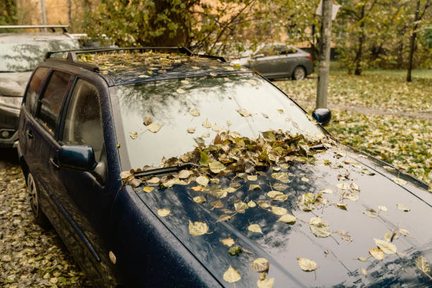 istock Car Parked in Yard Covered with Autumn Leaves - Beautiful Fall Scene 1821680661