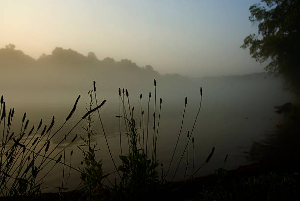 Manhã cedo Chattachoochee rio - foto de acervo