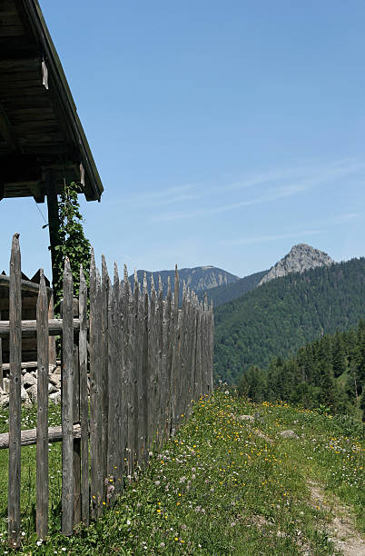istock Wooden fence 182168440